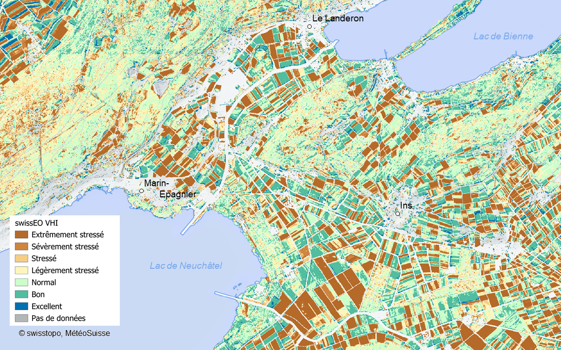 swissEO Vegetation Health Index near Ins/Le Landeron (source: SATROMO)